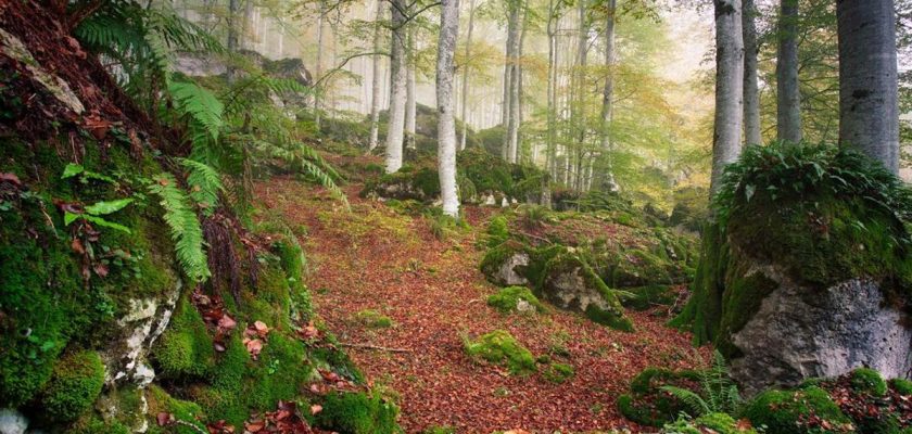 Explore el mágico invierno en la sierra de urbasa: senderismo en un paraíso natural