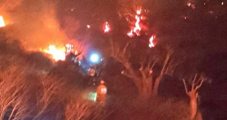 El devastador incendio en Mallorca: causas, consecuencias y cómo ayudar