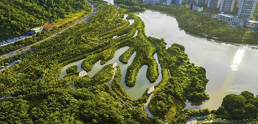 Nanhui: el renacimiento ecológico de Shanghái y su impacto en ciudades del futuro