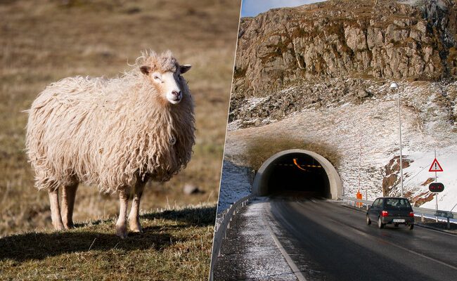 Descubre las Islas Feroe: Más ovejas que habitantes y túneles sorprendentes