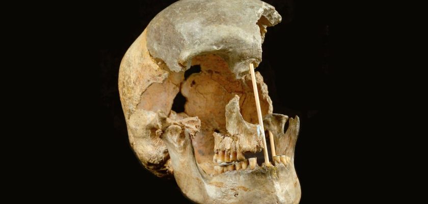 Nuevos hallazgos sobre los orígenes humanos: ¿quiénes eran nuestros ancestros neandertales?