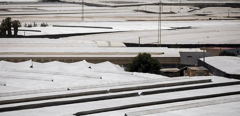 La alarmante realidad del trabajo agrícola en España: atropello y precariedad laboral en Níjar