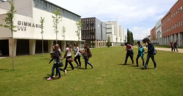 La sorprendente brecha laboral en España: ¿por qué los estudios superiores son la clave del éxito?