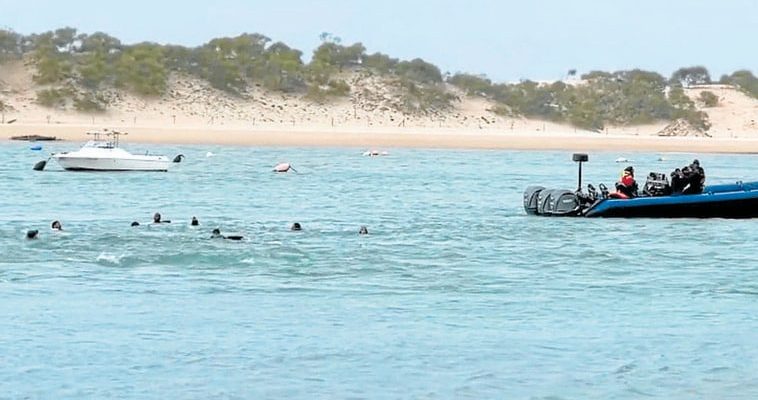 La tragedia oculta del tráfico de migrantes en el Mediterráneo: la realidad tras los robos y narcolanchas