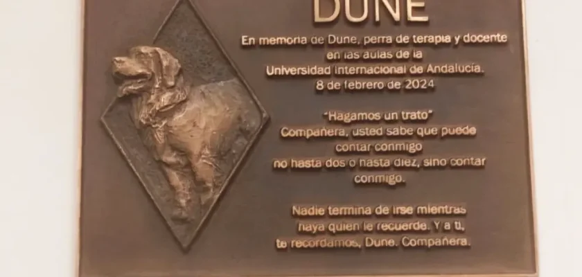 La inspiradora historia de Dune, la perra que cambió vidas en la Universidad Internacional de Andalucía