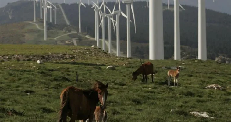 El enigma del impuesto a las energéticas: una maraña de tributos y desigualdades en España