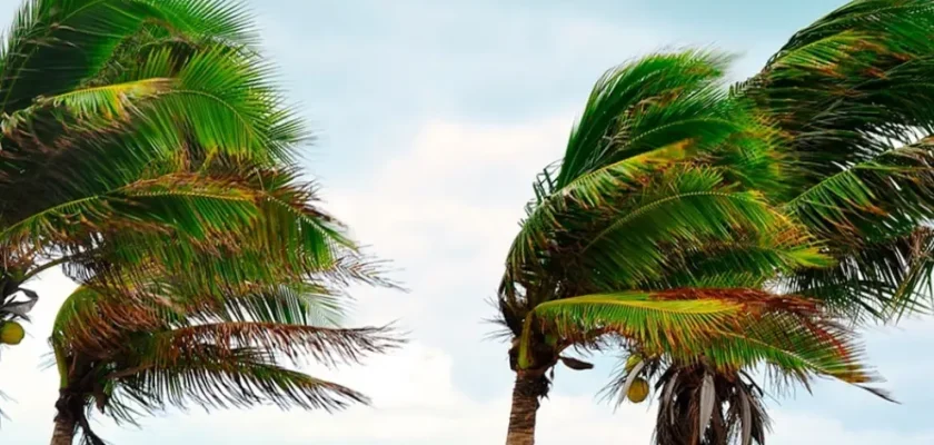 Alerta máxima en canarias: el impacto devastador de la borrasca dorothea en las islas