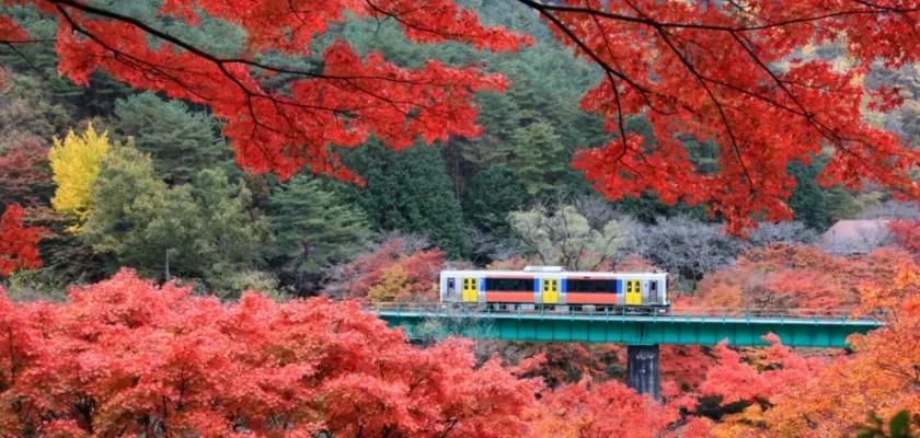 Tohoku: el tesoro oculto de Japón que debes descubrir ya