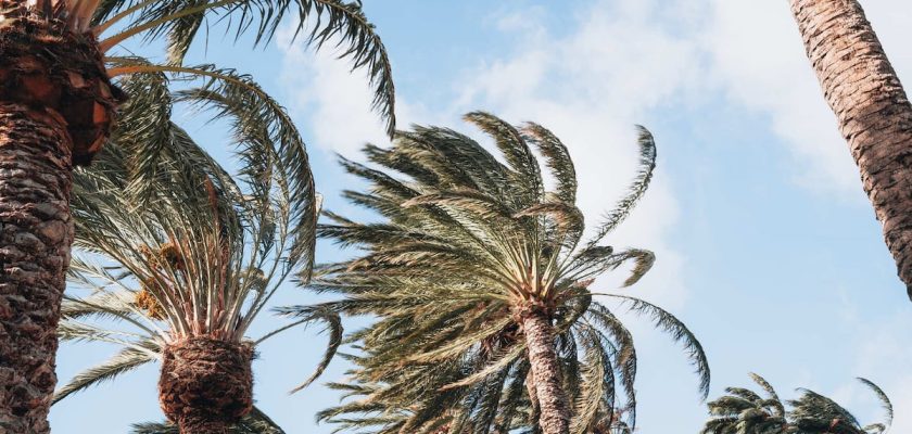 Efectos devastadores de la borrasca dorothea en las islas canarias: ¡nunca había visto algo igual!