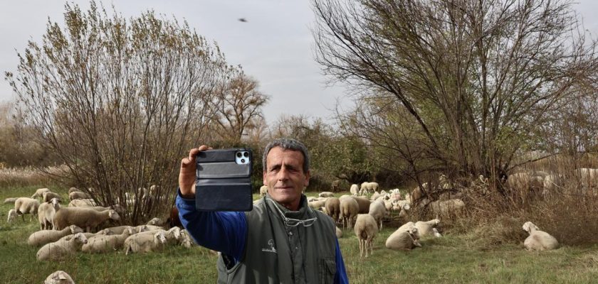 Cómo las redes sociales están transformando el campo: la historia de Jordi y Gemma, los ganaderos de Algerri