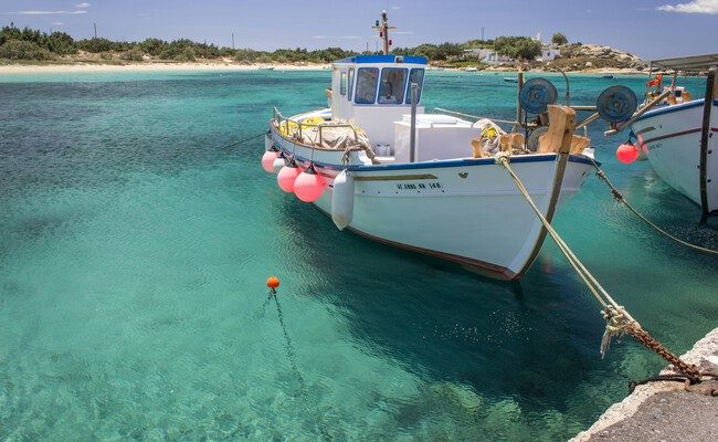 Crisis en el sector pesquero español: El dilema entre la conservación y la economía