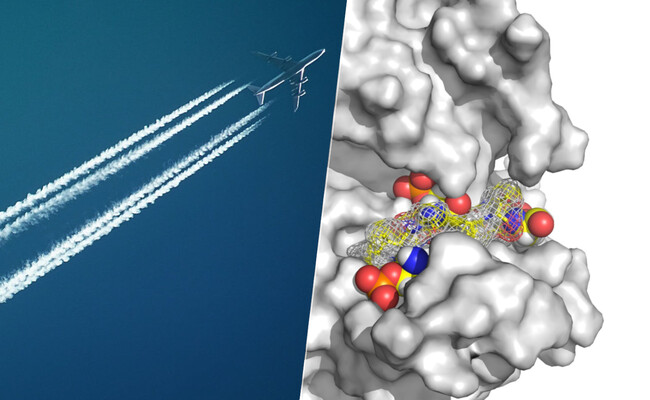 La ciencia detrás del jet lag: cómo la proteína CK1δ podría cambiar nuestras vidas