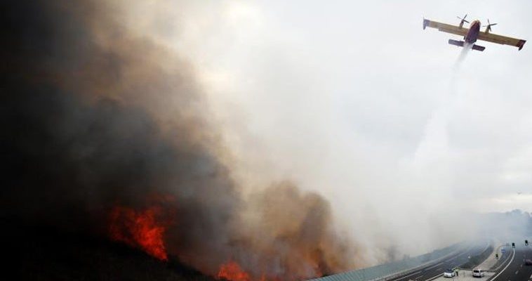 Incendios forestales en Marbella: ¿cuidado con las prácticas ancestrales o irresponsabilidad?