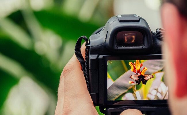 Getty Images y Shutterstock se fusionan: el futuro del contenido visual en la era de la IA generativa