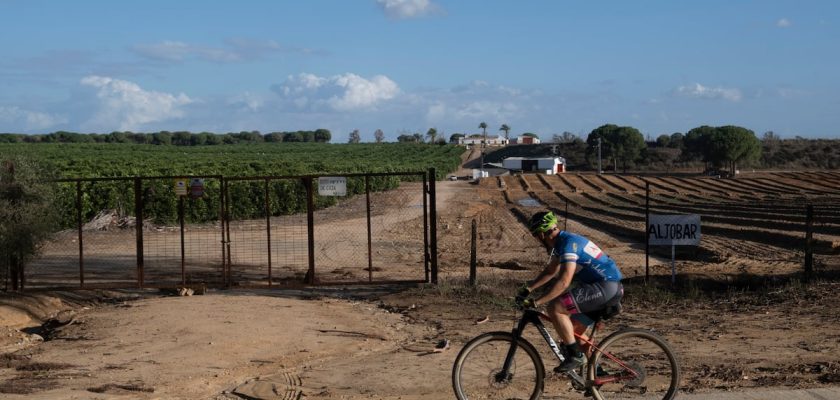 La alarmante crisis ecológica en Doñana: eurotécnica agraria bajo la lupa de la Guardia Civil