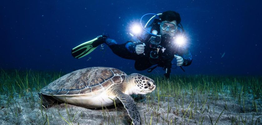 La fascinante vida de un buzo en Alicante: aventura, exploración y pasión por el mar