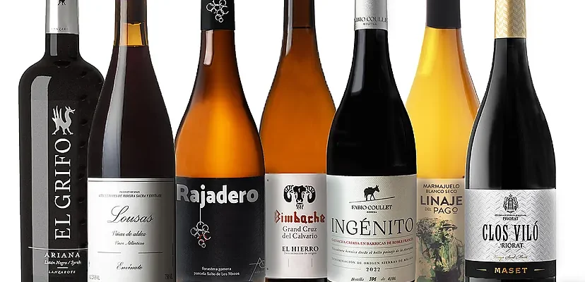 La viticultura heroica en España: vinos únicos que desafían lo imposible