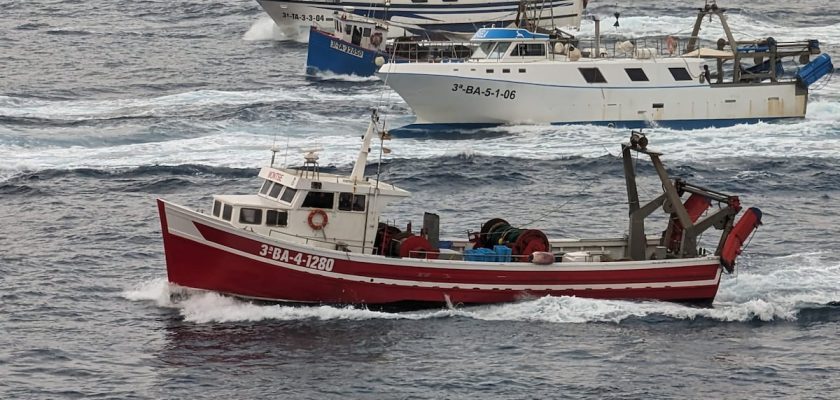 La gamba de Palamós: un viaje desde la sobrepesca hacia la sostenibilidad marina