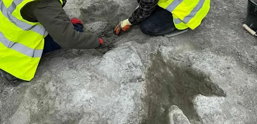 Increíble hallazgo de huellas de dinosaurio en el Reino Unido: una ventana a la vida jurásica