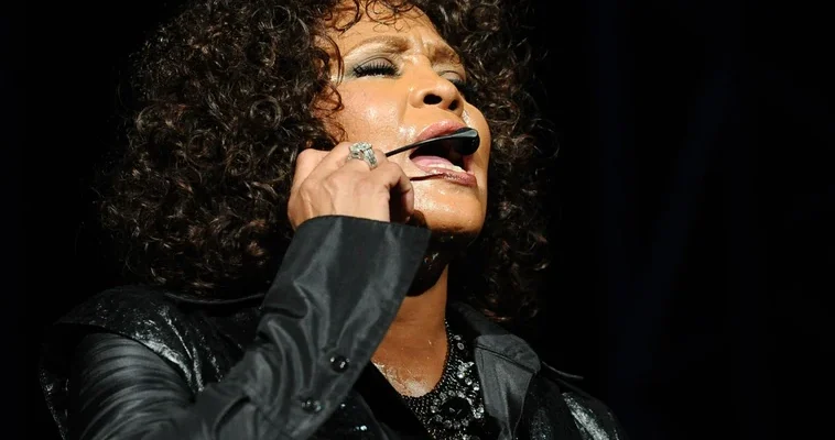 La vida y el legado de whitney houston: memorias de un guardaespaldas