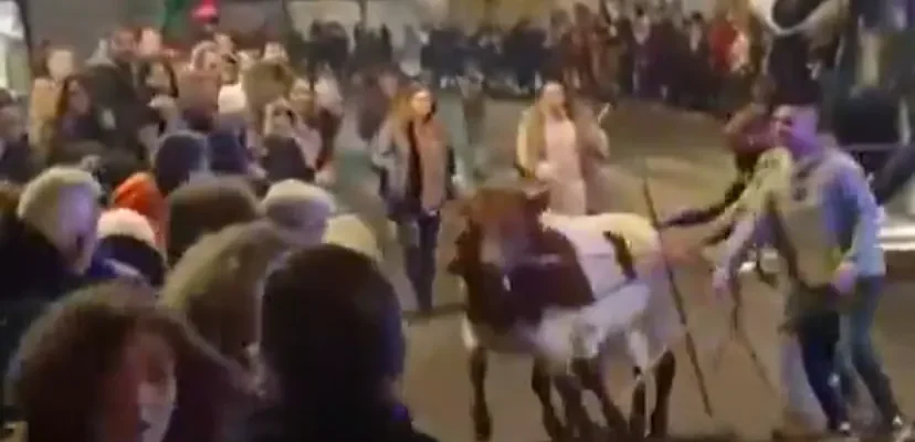 La tragedia en la cabalgata de reyes de arenas de san pedro: un grito de alerta sobre la protección animal