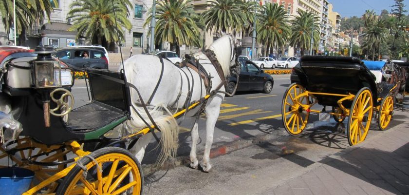 El adiós a los coches de caballos en Málaga: ¿una decisión acertada para el bienestar animal?