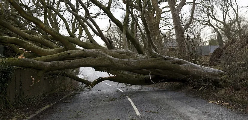 Tormenta Eowyn: el huracán que dejó un millón de hogares sin electricidad en Irlanda y Escocia