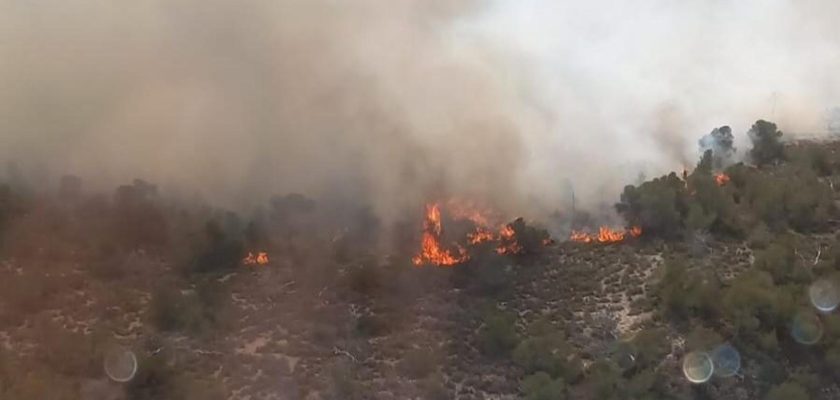 Incendio forestal en Monte Coto: la lucha de los bomberos y el peligro en Algueña