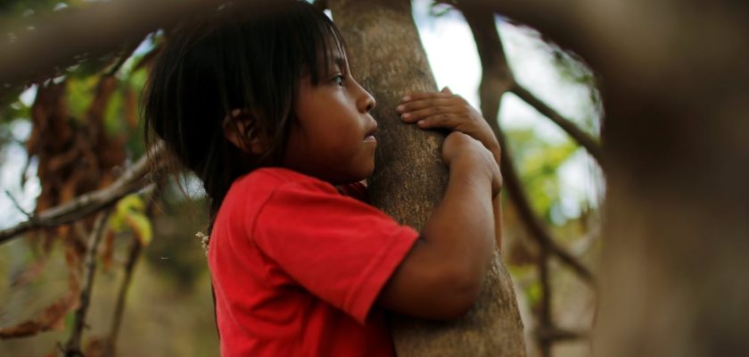 el impacto del programa bolsa familia en la lucha contra la tuberculosis en brasil