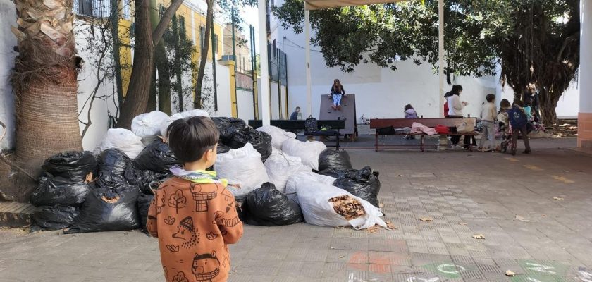 La alarmante situación de los colegios públicos en Sevilla: ¿Una crisis de limpieza?