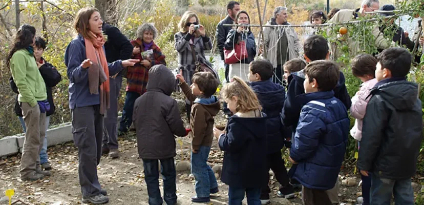 Madrid se reconecta con la naturaleza: el impacto positivo del Covid en la conservación ambiental