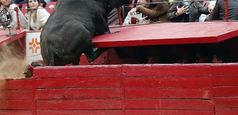 La decepcionante inauguración de la 'Feria del Aniversario' en la Monumental Plaza Toros de México: Una mirada crítica al estado del toreo