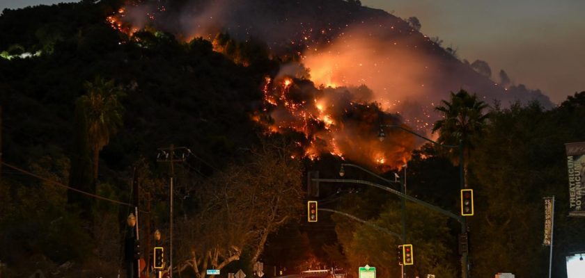 El cinturón verde de Barcelona: una estrategia innovadora contra incendios y su impacto en la biodiversidad