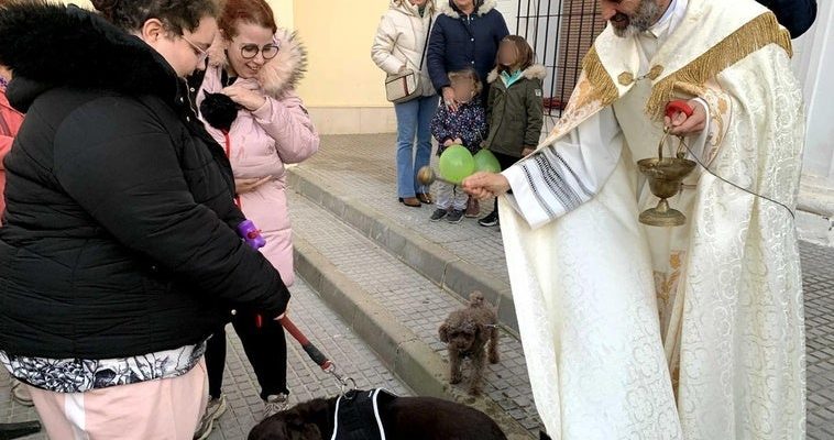 La emotiva fiesta de la bendición de mascotas: tradición y concienciación en Montequinto