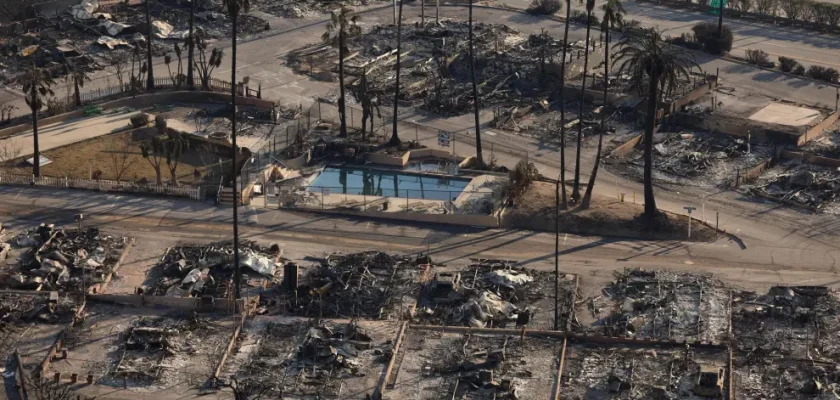 Incendios en California: ¿conspiraciones o realidades? La sorprendente resiliencia de las palmeras