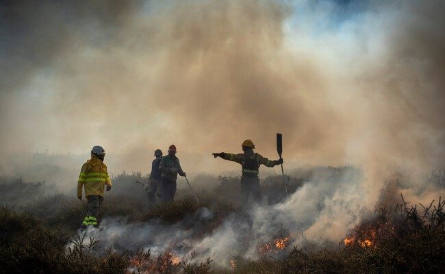 La sorprendente utilidad de los walkie talkies en un mundo interconectado