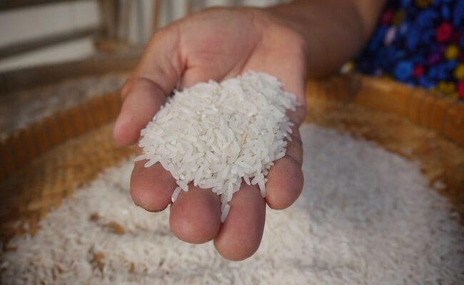 Crisis del arroz en Japón: ¿cómo el aumento de precios impacta la alimentación y la economía?