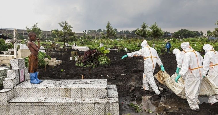 La crisis en Goma: una mirada a la guerra, el cólera y la lucha por la supervivencia