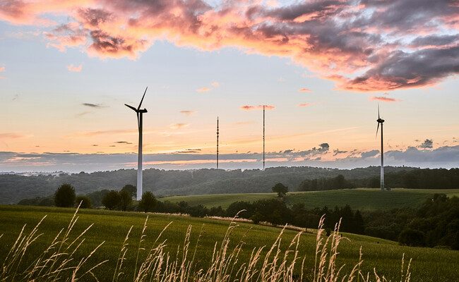 Desafíos de la energía eólica en Galicia: una tensión entre desarrollo y sostenibilidad