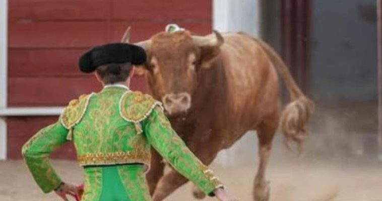 Nuevo talento en la tauromaquia: el ascenso de Mario Vilau en la Escuela Taurina de Cataluña