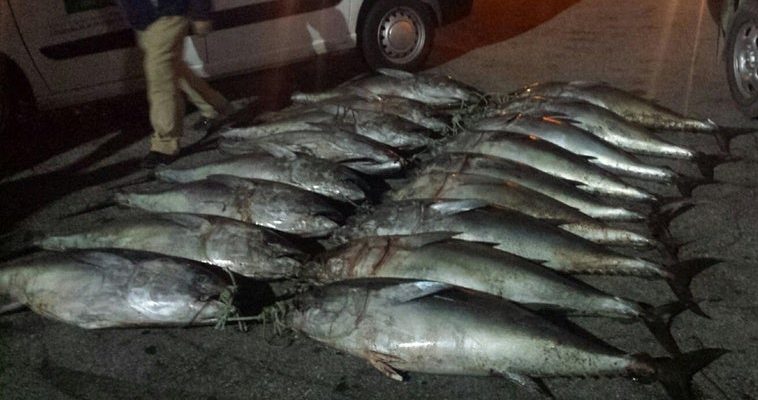 La pesca furtiva en España: un negocio oscuro y peligroso que no cesa