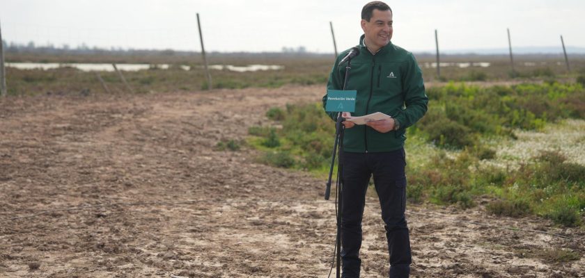 La nueva joya de Doñana: cómo la compra de Tierras Bajas fortalece la lucha por la conservación