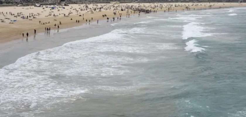 Tragedias en las Aguas Australianas: La Aterradora Realidad de los Ataques de Tiburones