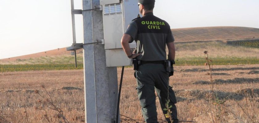 Desgarradora tragedia aviar: la electrocución de especies protegidas en Zamora