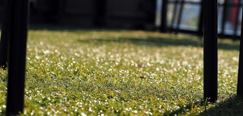 Cómo preparar tu terraza para la primavera: cuidados y limpieza del césped artificial