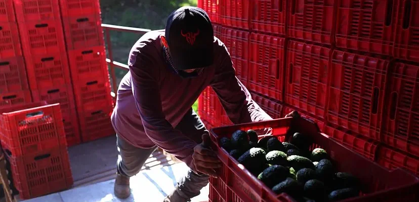 La guerra comercial vuelve a azotar España: ¿cómo nos afecta el nuevo tirón de aranceles de EEUU?