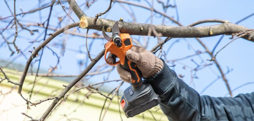 Las tijeras de podar eléctricas: la herramienta esencial para un jardín radiante en 2023