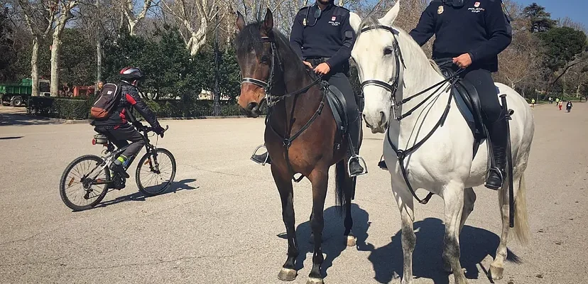 La curiosa propuesta de pañales para caballos en Madrid: ¿una solución efectiva o solo un truco político?