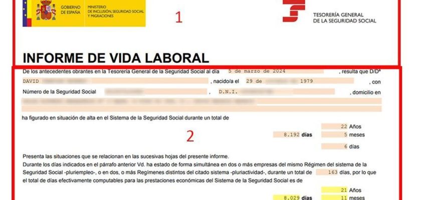 Cómo entender el informe de vida laboral: guía práctica y consejos para sacar el máximo provecho