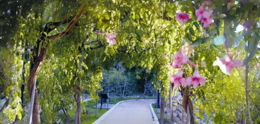 El pequeño tesoro andaluz: descubre el jardín de Vélez de Benaudalla, el generalife chico